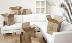 Points to Keep in Mind before Shifting Hassle Free