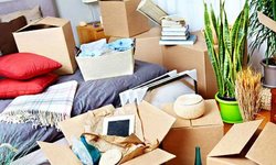 Online Proving to be Great Boon for Best Packers Movers