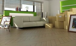 Stress Out During Relocation Hiring the Best Mover Company